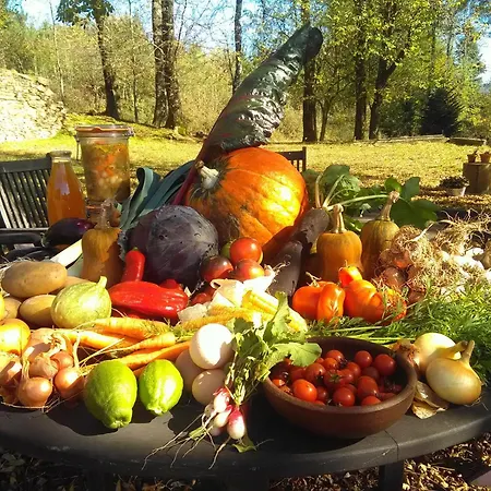 La Bouriotte D'hotes Bouton D'or 3* Labastide-Rouairoux