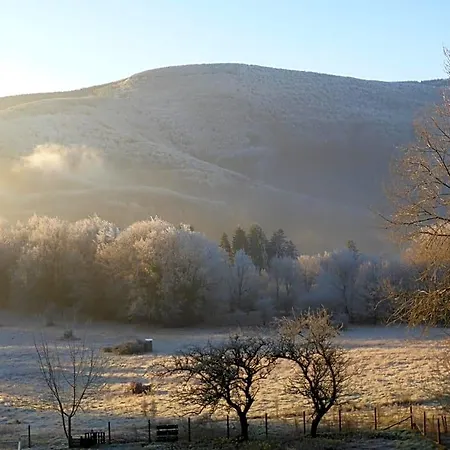La Bouriotte D'hotes Bouton D'or Labastide-Rouairoux