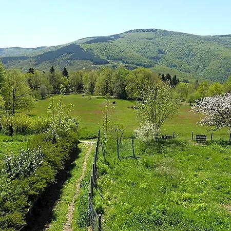 Frühstückspension La Bouriotte D'hotes Bouton D'or Labastide-Rouairoux