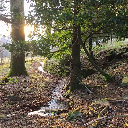 La Bouriotte D'hotes Bouton D'or