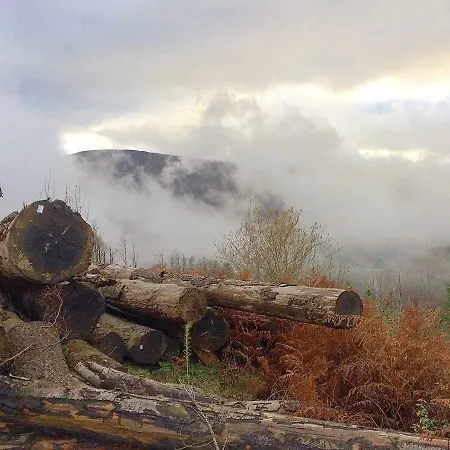 La Bouriotte D'hotes Bouton D'or