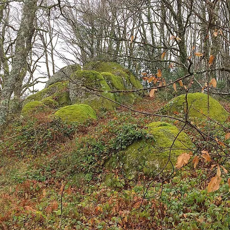 La Bouriotte D'hotes Bouton D'or Labastide-Rouairoux