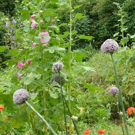 La Bouriotte D'hotes Bouton D'or 3*