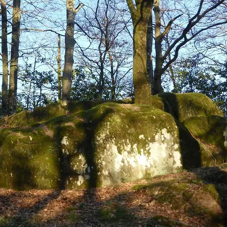 Bed and breakfast La Bouriotte D'hotes Bouton D'or Labastide-Rouairoux