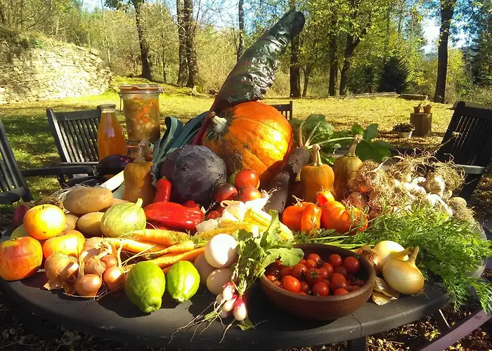 La Bouriotte D'hotes Bouton D'or 3* Labastide-Rouairoux