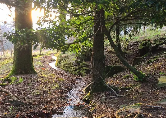 La Bouriotte D'hotes Bouton D'or