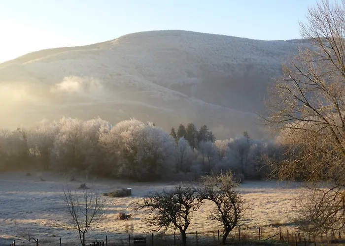 La Bouriotte D'hotes Bouton D'or Bed & Breakfast Labastide-Rouairoux