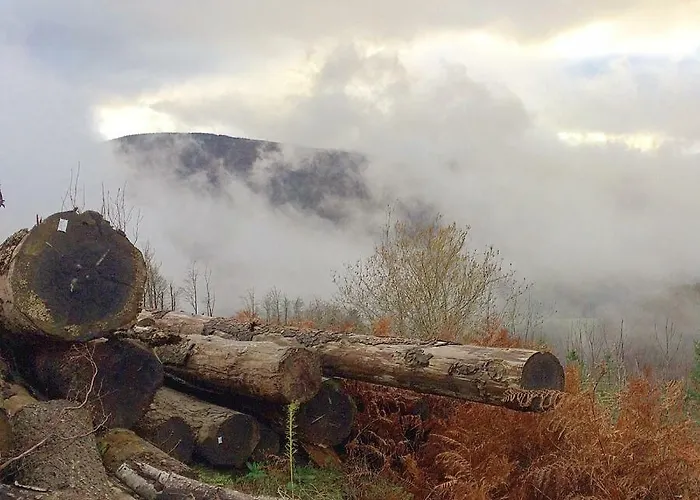 La Bouriotte D'hotes Bouton D'or