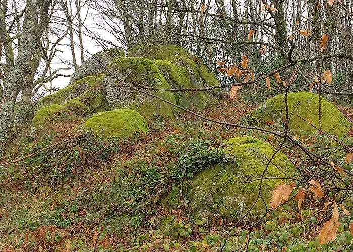La Bouriotte D'hotes Bouton D'or Labastide-Rouairoux