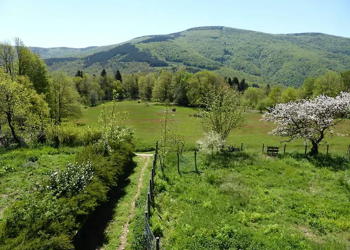 Bed & Breakfast La Bouriotte D'hotes Bouton D'or