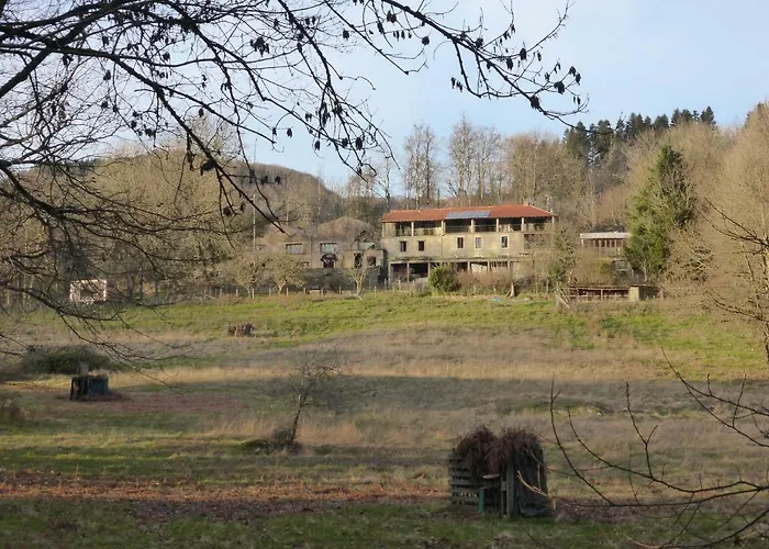 La Bouriotte D'hotes Bouton D'or Bed & Breakfast Labastide-Rouairoux