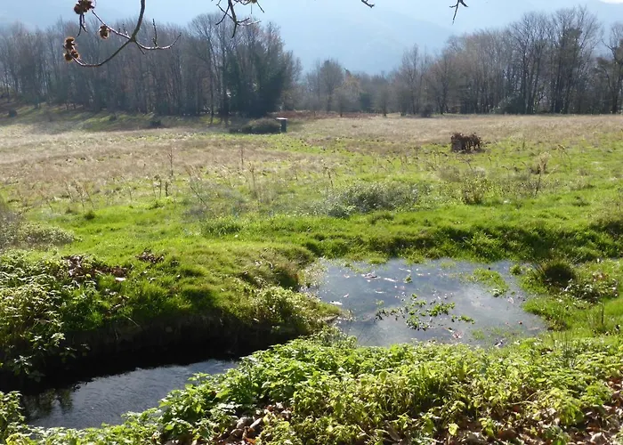 Bed & Breakfast La Bouriotte D'hotes Bouton D'or