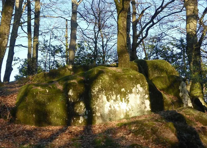 Bed & Breakfast La Bouriotte D'hotes Bouton D'or Labastide-Rouairoux